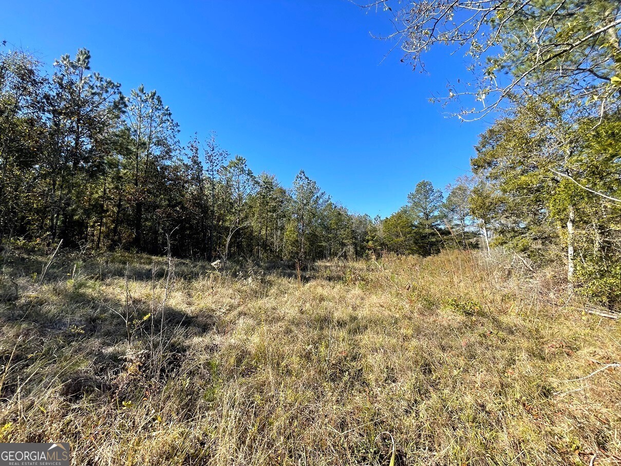 LOT 36 Russell Ridge DR