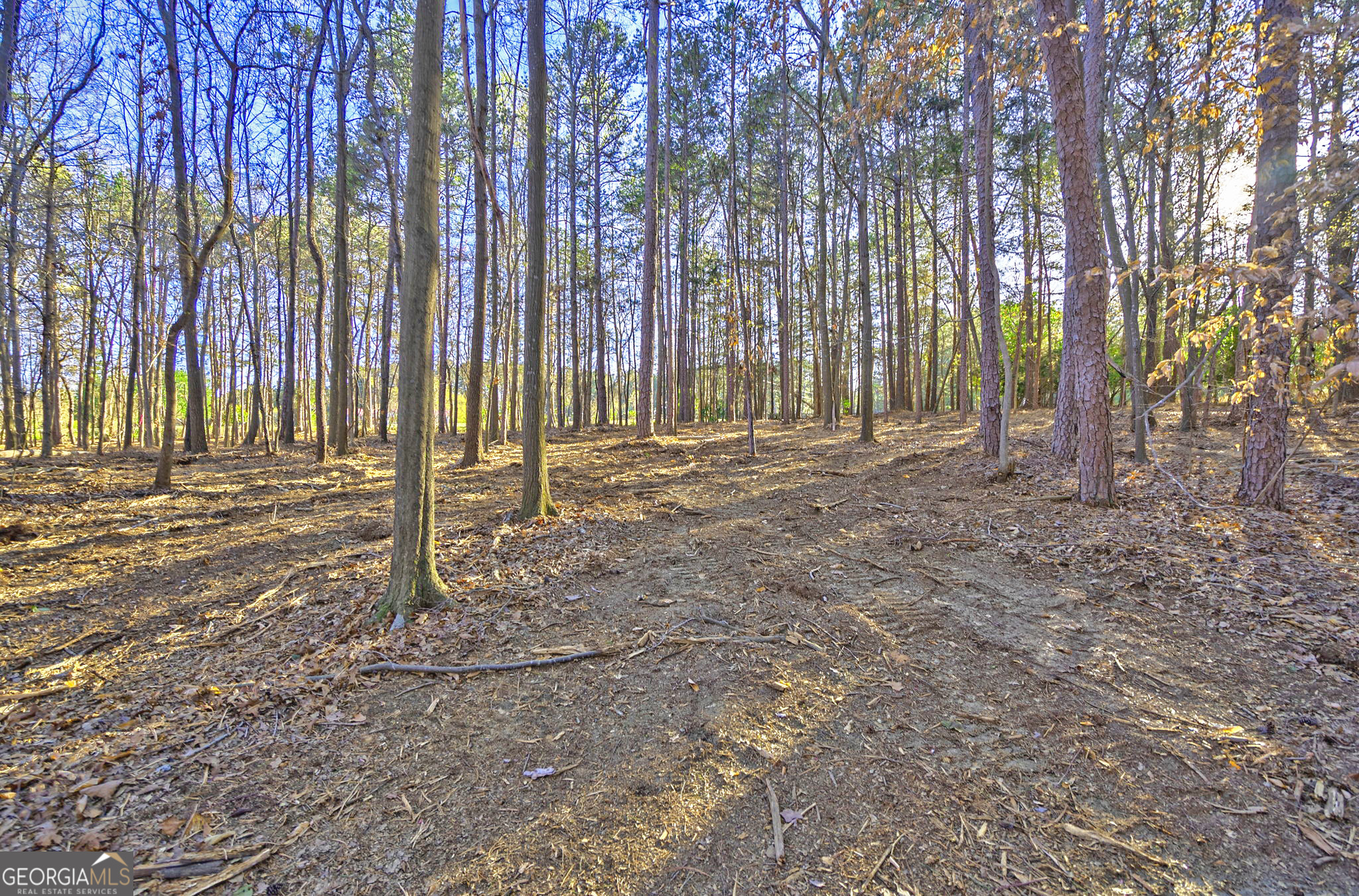 LOT1 Powderbag Creek RD