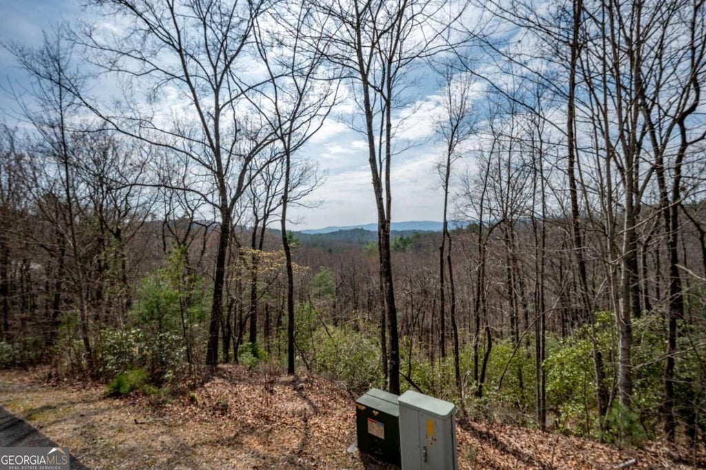 Photo of 7 Oceola Drive, Ellijay, GA 30540 (MLS # 10855931)