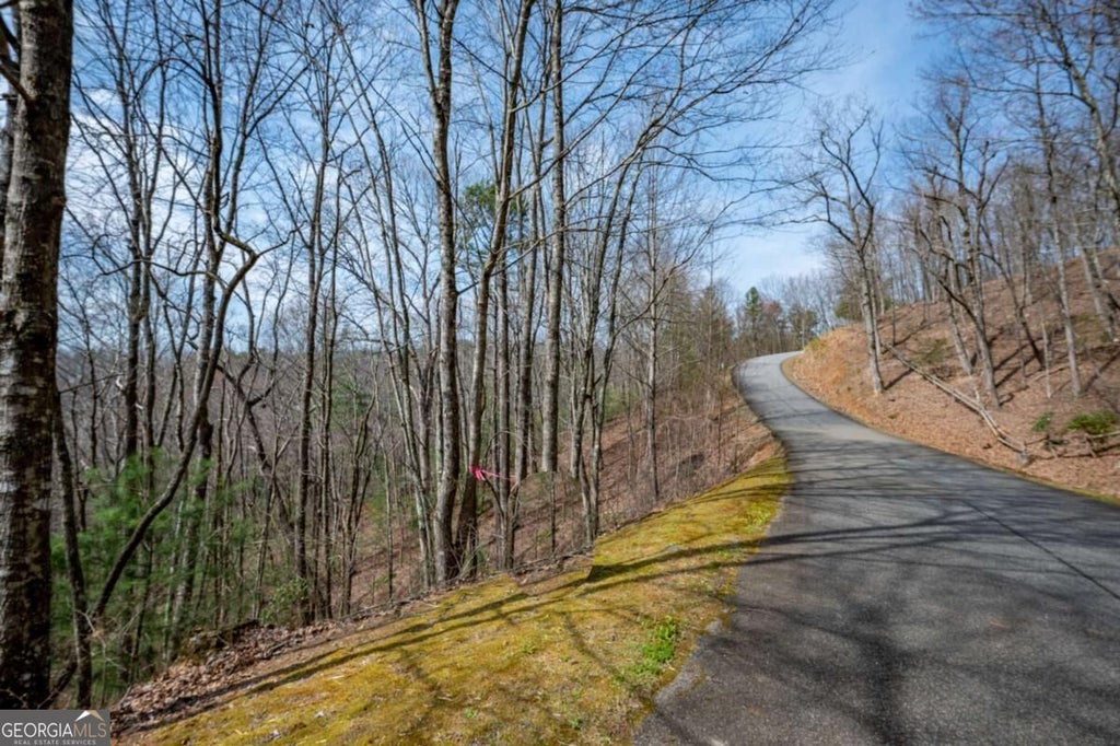 Photo of 7 Oceola Drive, Ellijay, GA 30540 (MLS # 10855931)
