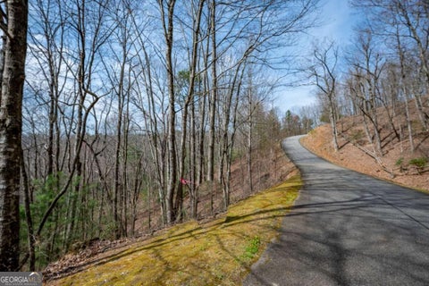 Photo for LOT 7 Oceola DR