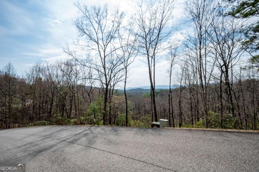 Photo of 7 Oceola Drive, Ellijay, GA 30540 (MLS # 10855931)