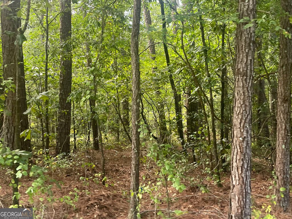 Photo of 4755 Govanett Road, Powder Springs, GA 30127 (MLS # 10770503)