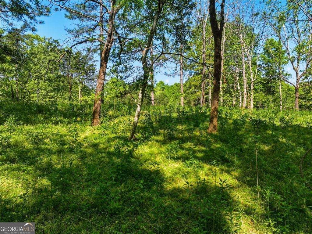 LOT 2 Summit DR