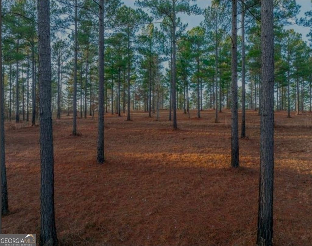 Photo of 163 Overlook Drive, Eatonton, GA 31024 (MLS # 10692550)