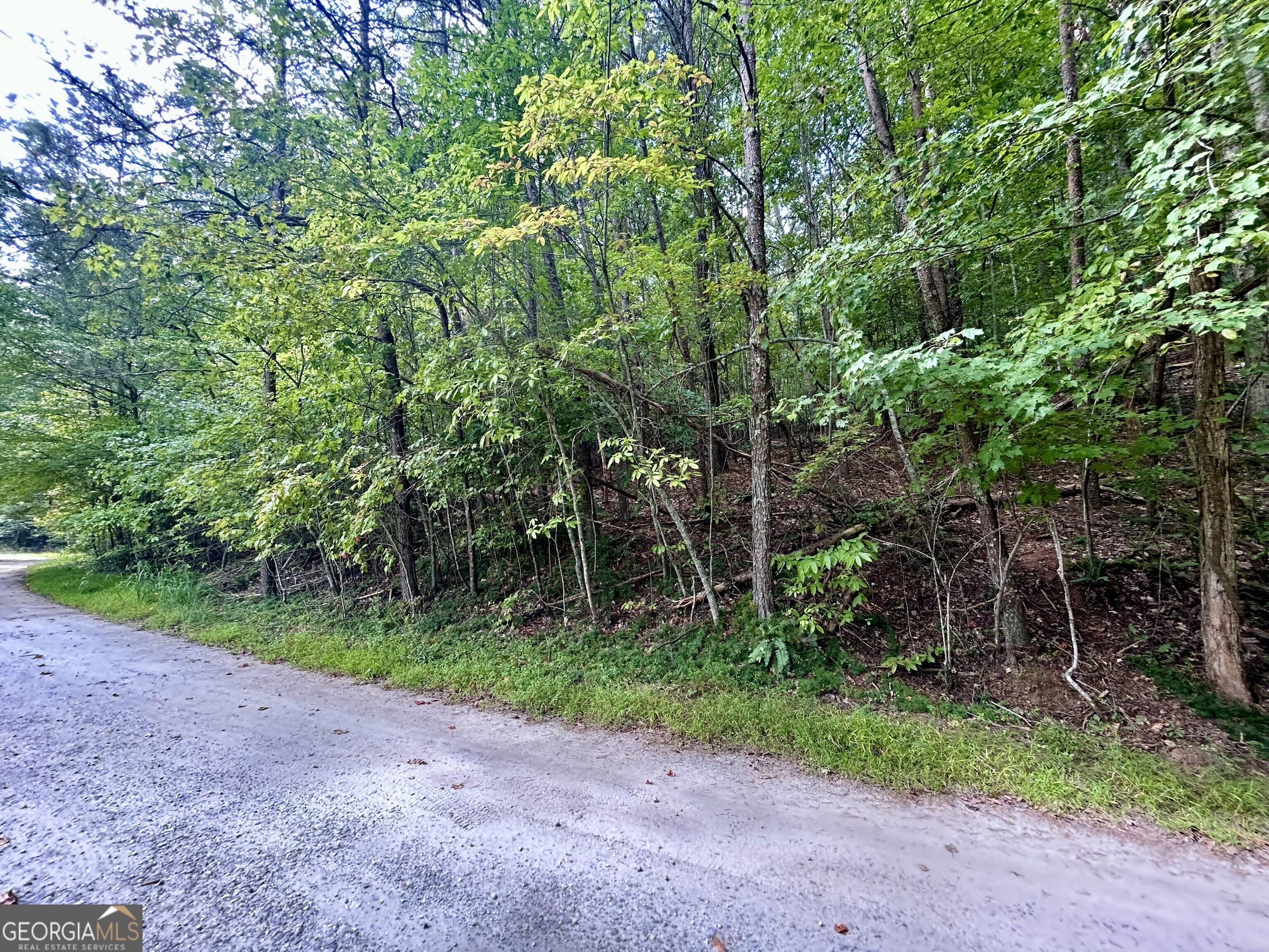 0 Yonah View DR