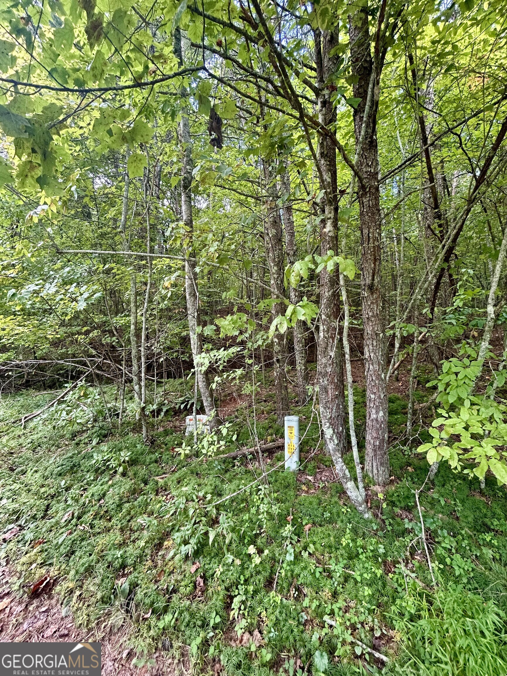 0 Yonah View DR