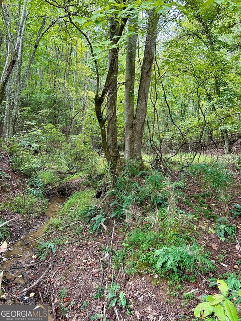0 Yonah View DR Cleveland GA 30528