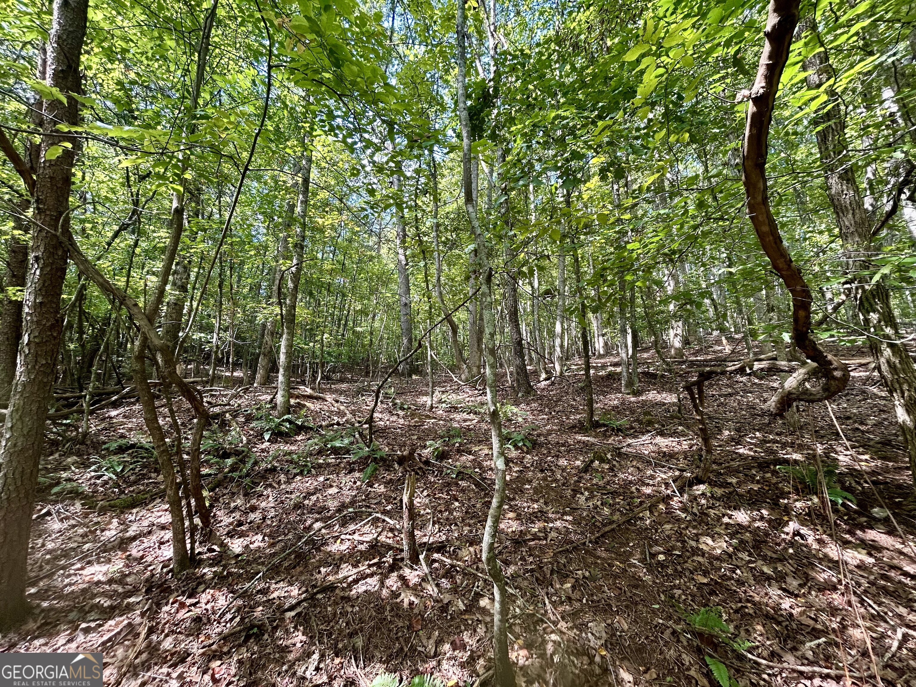 0 Yonah View DR