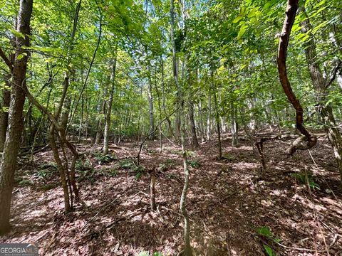 0 Yonah View DR Cleveland GA 30528
