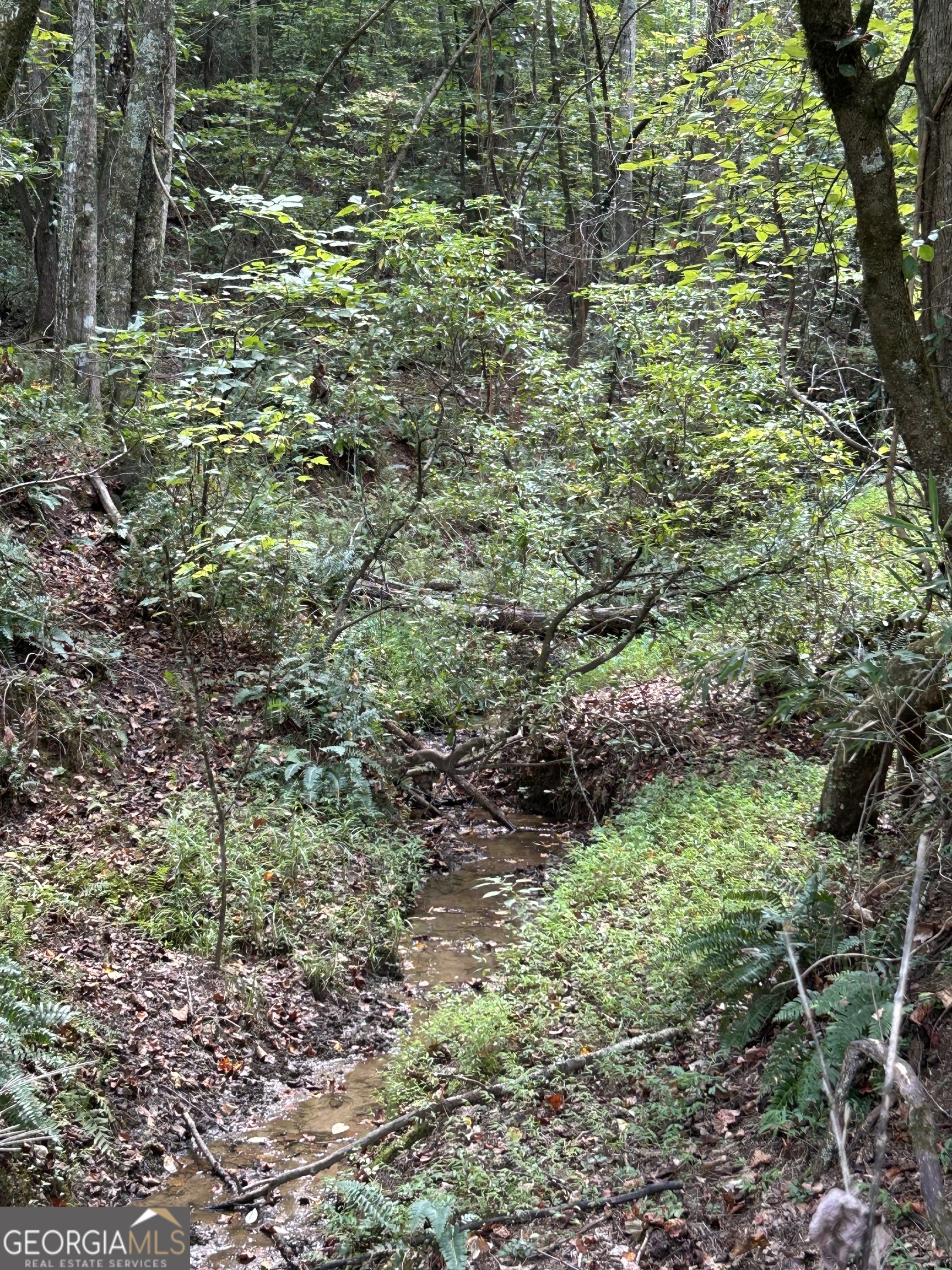 0 Yonah View DR