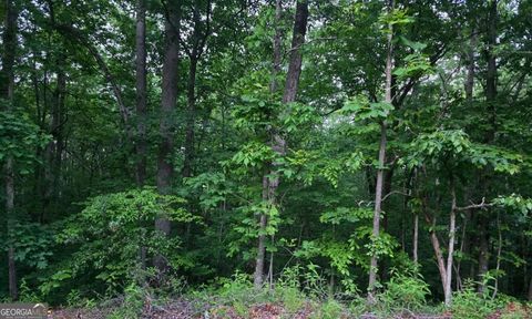 0 Old Mckaskey Creek RD SE Cartersville GA 30121