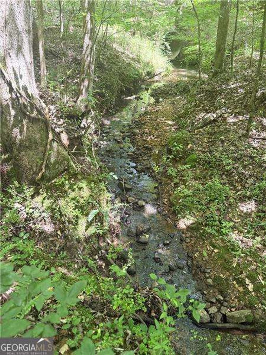 Photo of 0 Benson Road, Dallas, GA 30132 (MLS # 10651364)