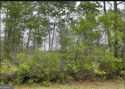 Photo of 0 16.01AC TRACT 4, Townsend, GA 31331 (MLS # 10628461) Photo of 0 16.01AC TRACT 4, Townsend, GA 31331 (MLS # 10628461)