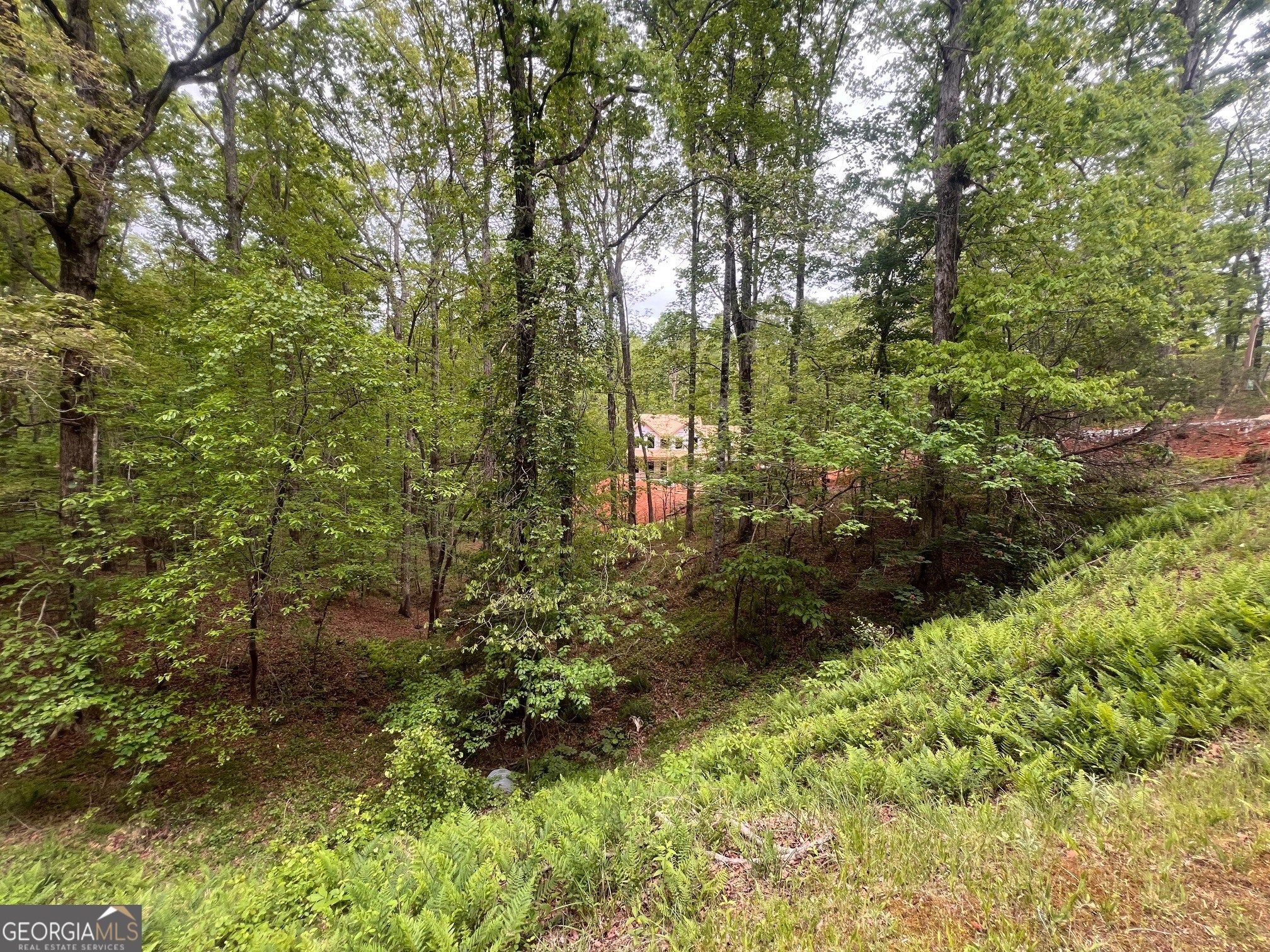 539 N Falling Water DR