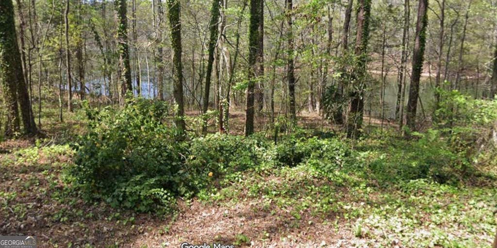Photo of 56 Hawthorne Drive, WAVERLY HALL, GA 31831 (MLS # 10824254)