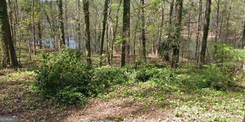 Photo of 56 Hawthorne Drive, WAVERLY HALL, GA 31831 (MLS # 10824254)