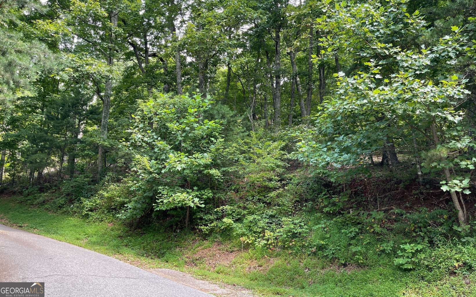 #10 Mountain Drive North