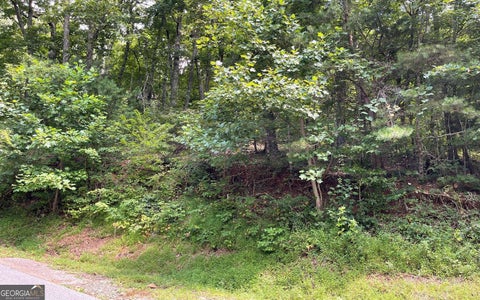 Photo of 10 Mountain Drive North, Hiawassee, GA 30546 (MLS # 10848989)
