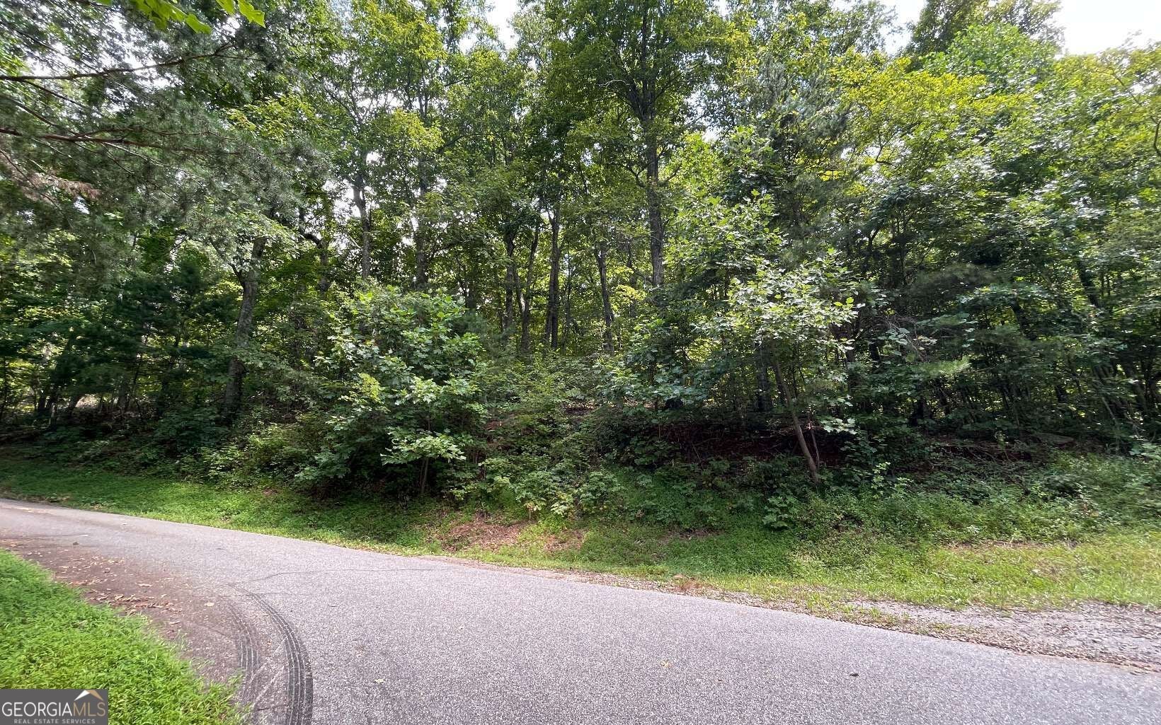 #10 Mountain Drive North