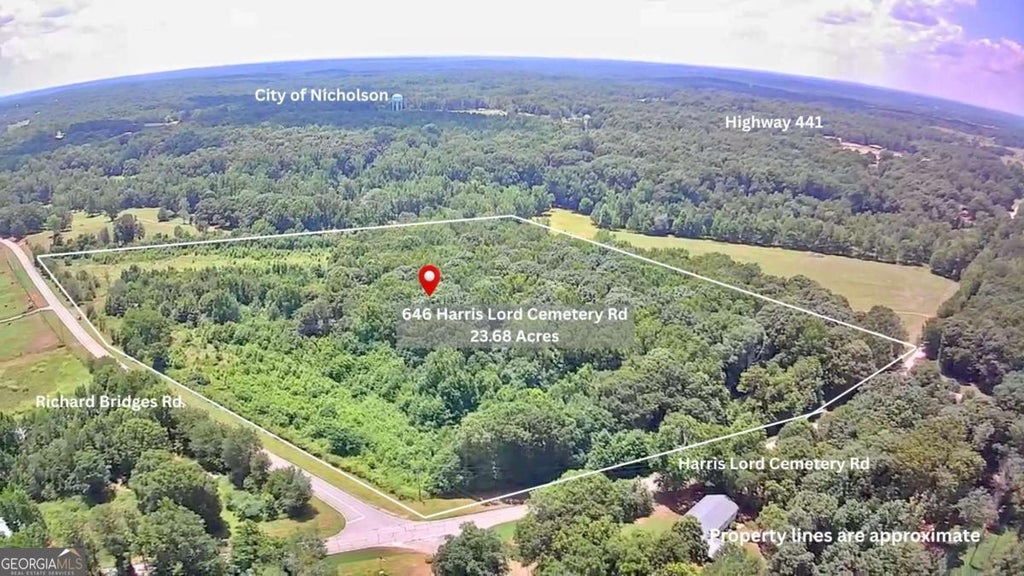 Photo of 646 Harris Lord Cemetery Road, Commerce, GA 30530 (MLS # 10801663)