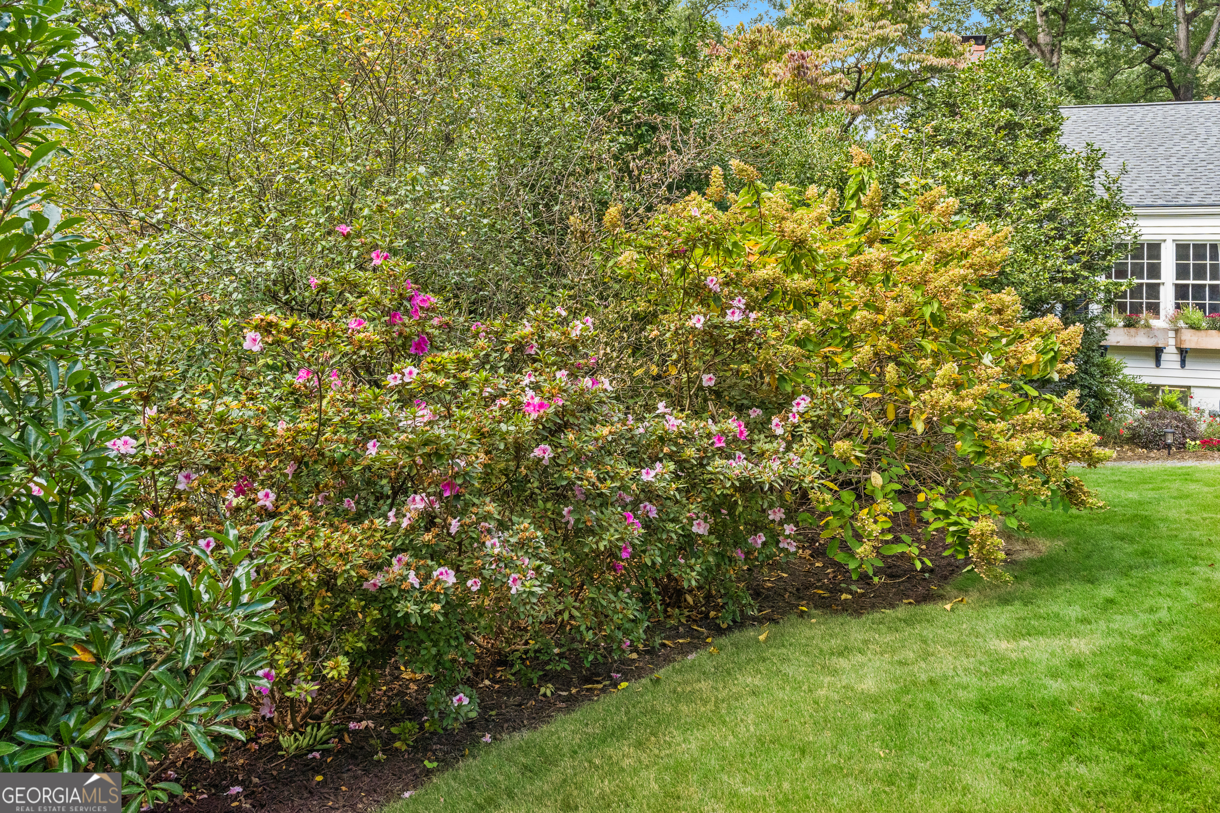 Pines Hills - Residential