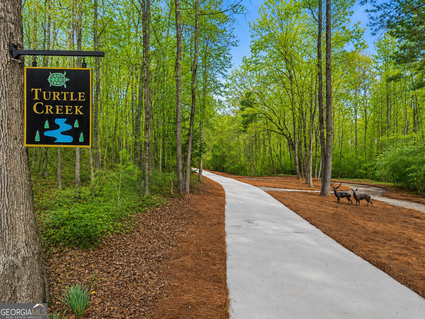 2995 Gum Creek RD