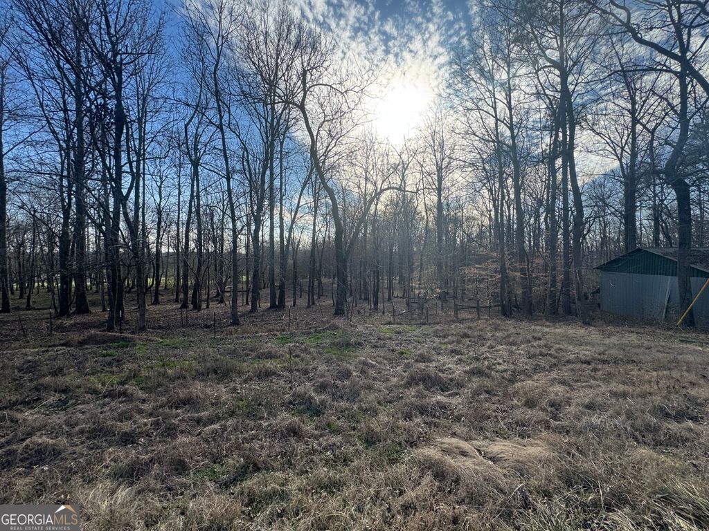 Photo of 373 Thompson Lane, Jasper, GA 30143 (MLS # 10700492)