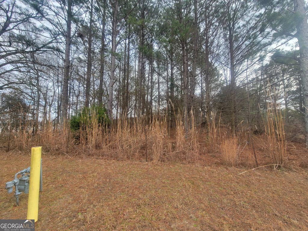 Photo of 2025 GA-138, Conyers, GA 30013 (MLS # 10676905)