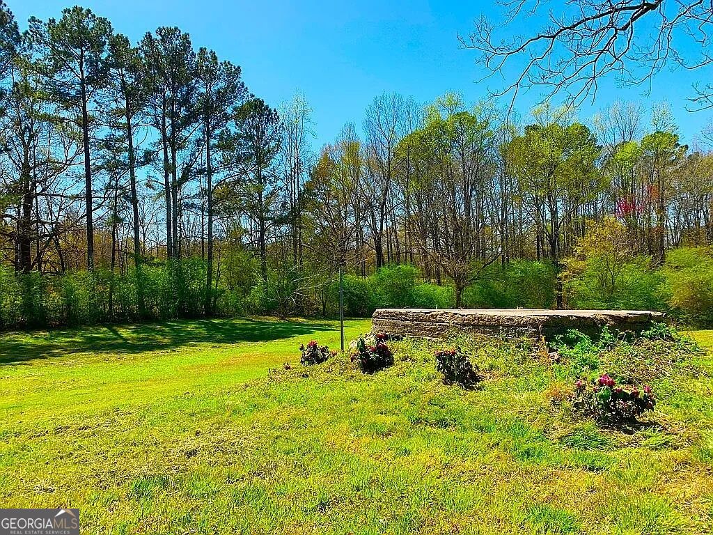 Photo of 331 Calhoun Road, Griffin, GA 30224 (MLS # 10850125)