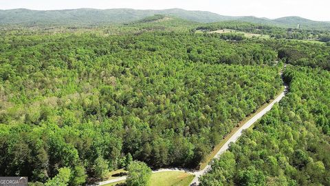 0 Ben Jones RD Clarkesville GA 30523
