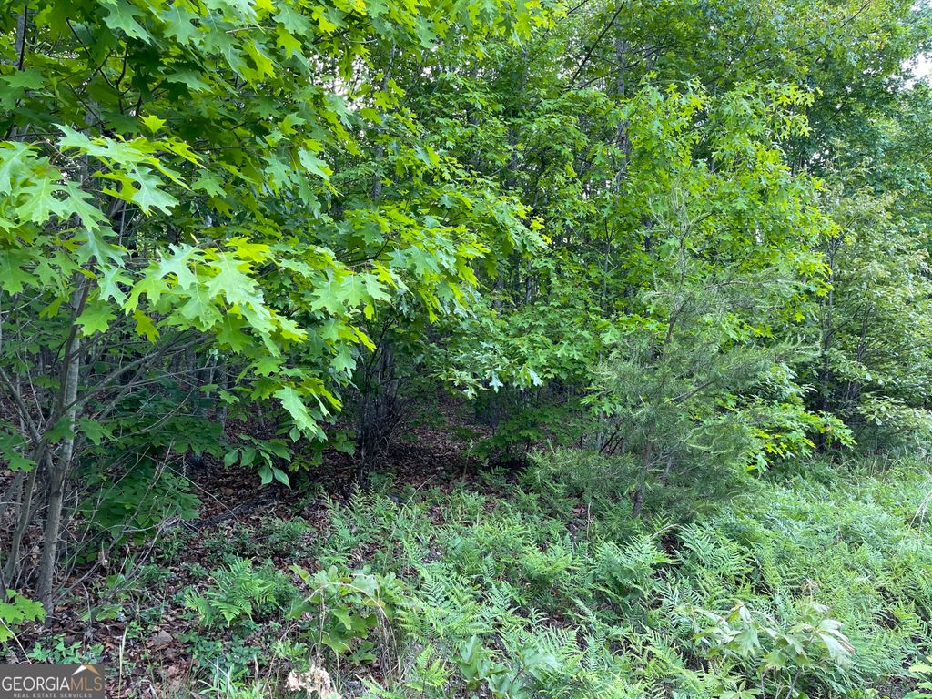 Photo of 0 Ben Jones Road, Clarkesville, GA 30523 (MLS # 10021237)