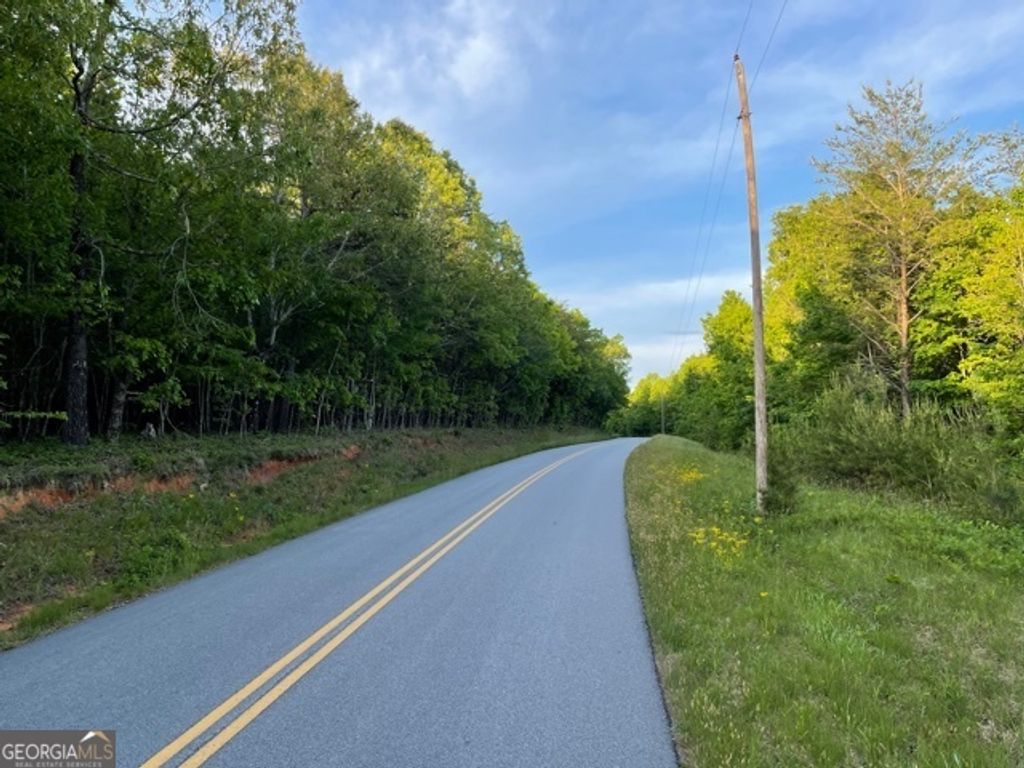 Photo of 0 Ben Jones Road, Clarkesville, GA 30523 (MLS # 10021237)