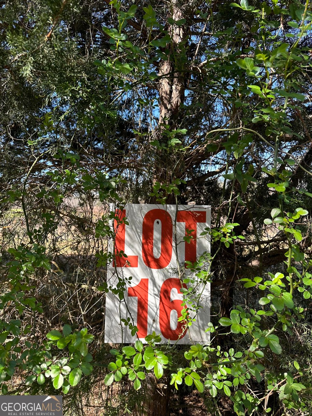 Photo of 139 Oak Road #LOT 16, Locust Grove, GA 30248 (MLS # 10711135)