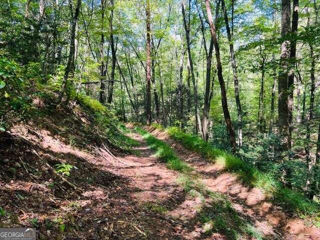 4 Maxwell Mountain RD