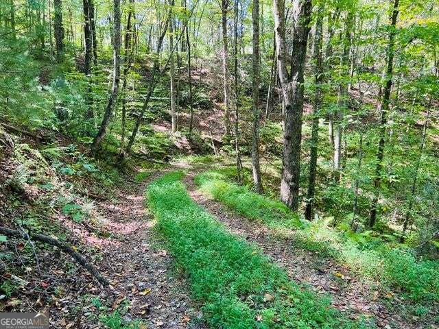 4 Maxwell Mountain RD