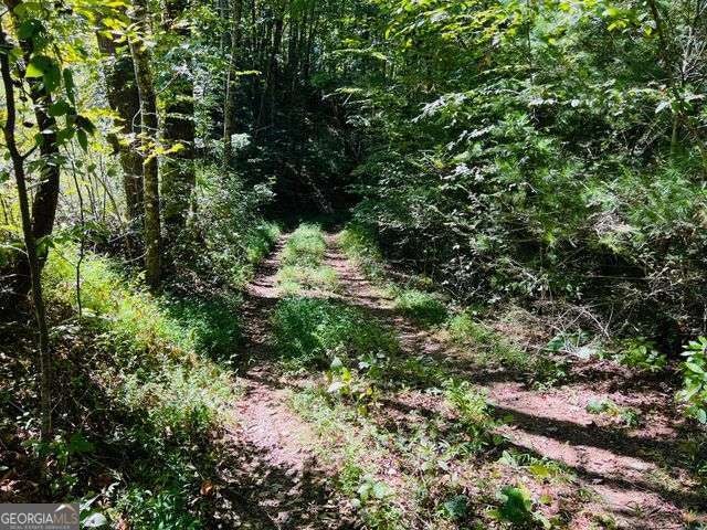 4 Maxwell Mountain RD