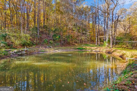 A home in Ellijay