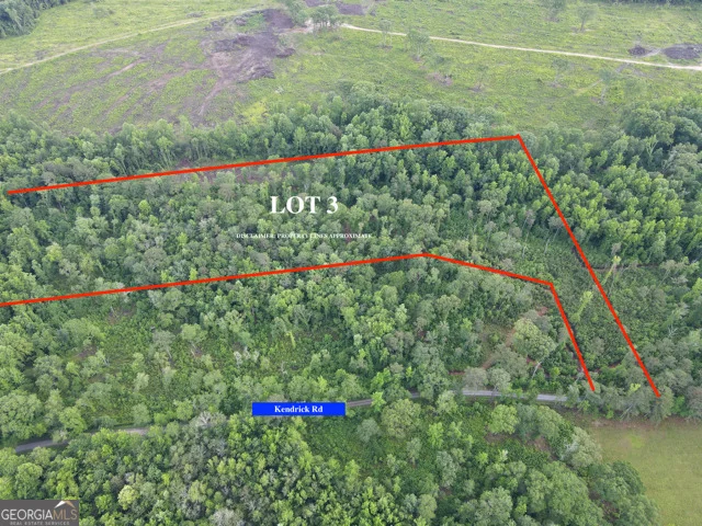 LOT 3 Kendrick, Zebulon, GA, 30295