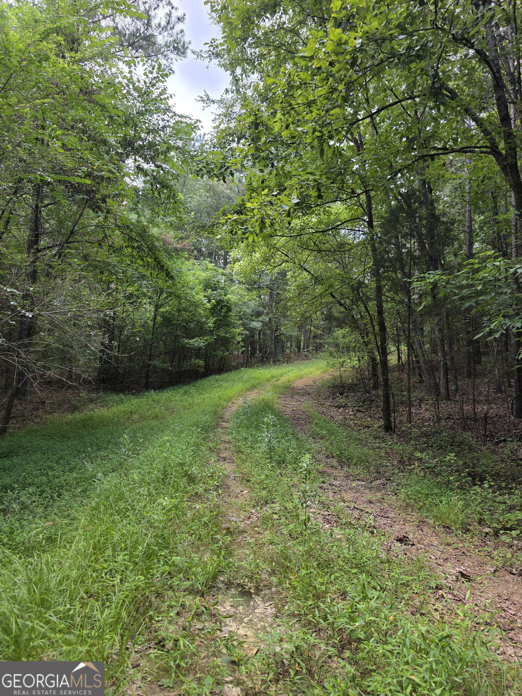 482 Pine Mountain RD