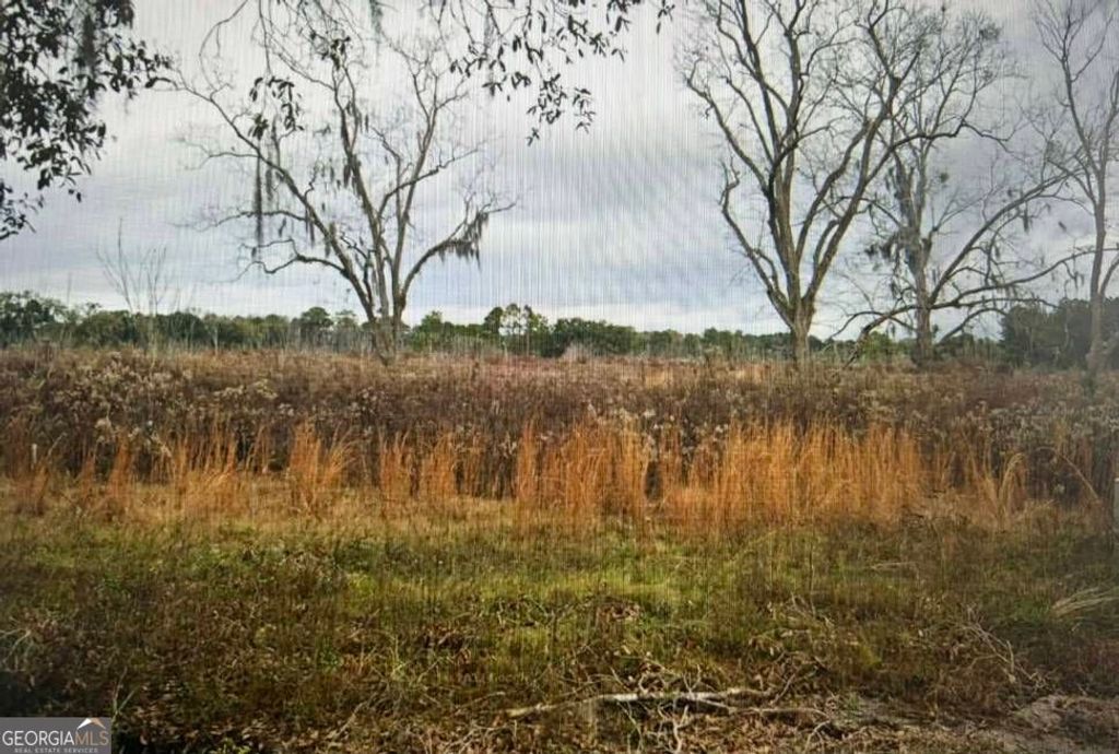 Photo of 3941 Fender Road, Valdosta, GA 31601 (MLS # 10664820)