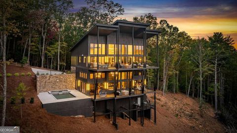 321 Skylight DR Blue Ridge GA 30513
