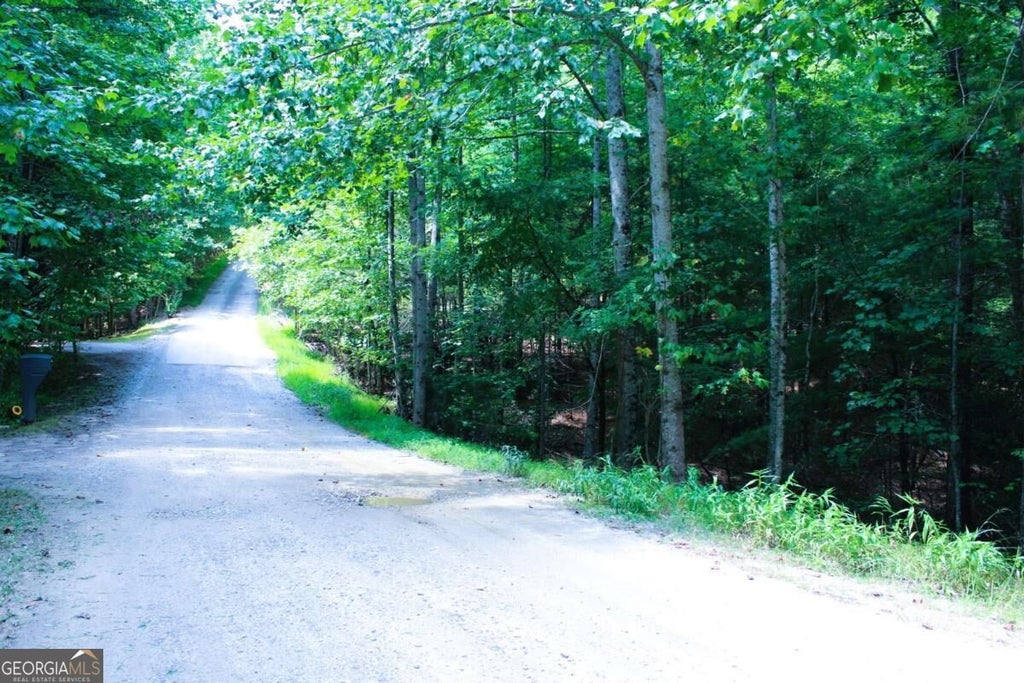 Photo of 18 Wilderness Walk, Blairsville, GA 30512 (MLS # 10840984)