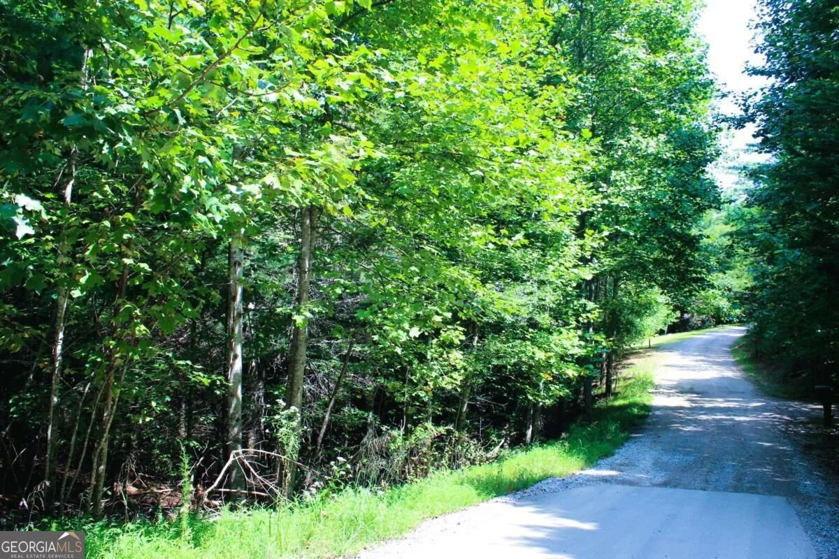 LOT 18 Wilderness Walk, Blairsville, GA, 30512