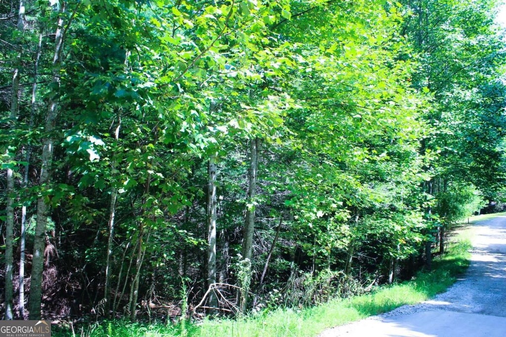 Photo of 18 Wilderness Walk, Blairsville, GA 30512 (MLS # 10840984)