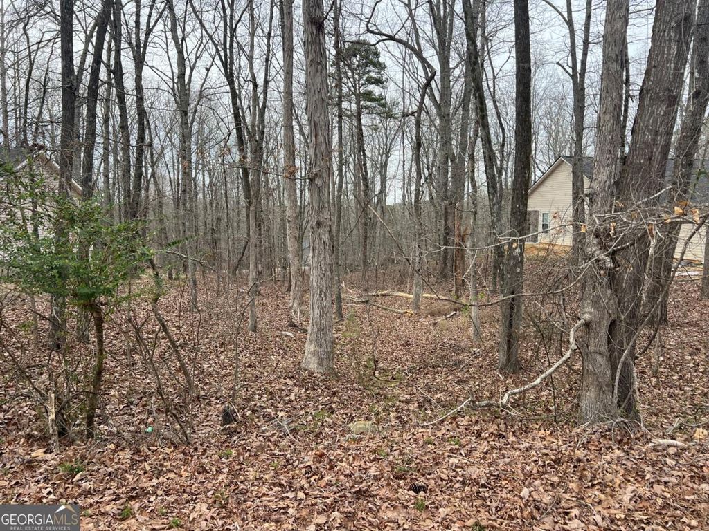 Photo of 3254 Greenhill Court, Villa Rica, GA 30180 (MLS # 10670841)