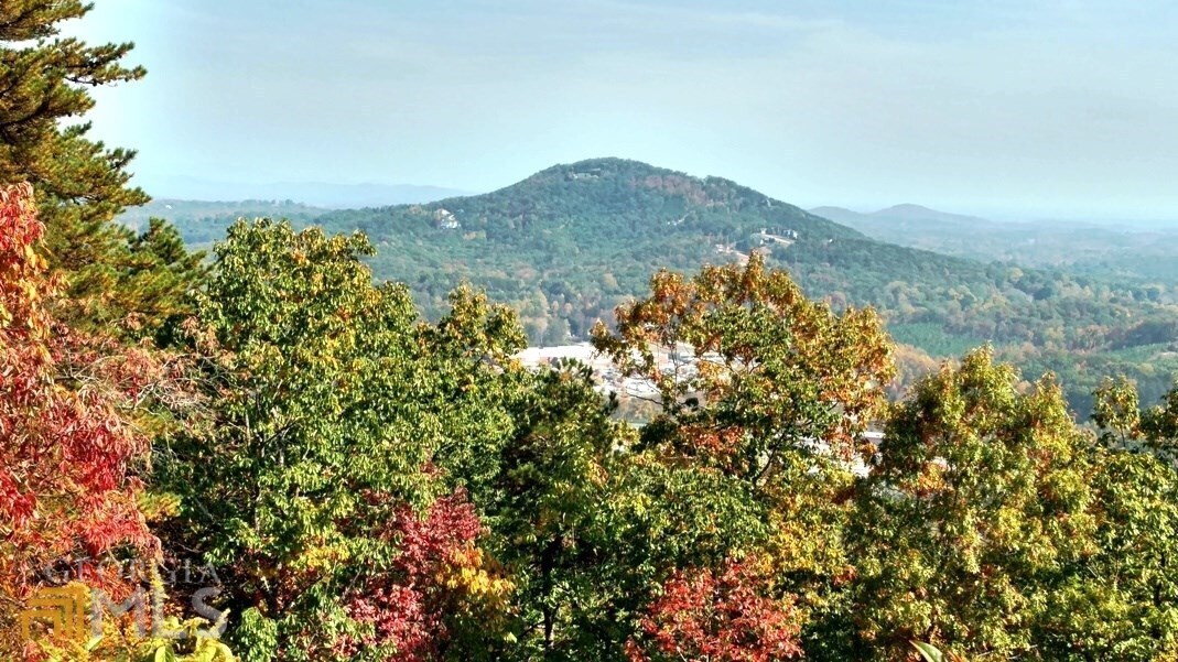 BREATH TAKING VIEWS FROM THIS PRIVATE BUILDING SITE. COMMUNITY HAS JUST RECAPPED THE ROAD INTO THE DEVELOPMENT AND THE DUES FOR ROAD MAINTENANCE ARE ONLY $300.00 PER YEAR. PIVATE ROAD INSIDE SUBDIVISION AND PROTECTIVE COVENANTS TO PROTECT YOUR INVESTMENT. MINUTES TO WALMART AND DOWNTOWN CLEVELAND. WHITE COUNTY IS LOCATED IN WINE COUNTRY WITH SEVERAL FANTASTIC VINEYARDS AND WEDDING VENUES. ABOUT 20 MINUTES TO HISTORIC DOWNTOWN HELEN GEORGIA. COMMUNITY WATER AVAILABLE. WATER SYSTEM IS FROM DEEP WELLS MAINTAINED BY A PRIVATE WATER COMPANY. WHITE COUNTY HAS A LOT TO OFFER WITH MANY STREAMS, RIVER AND LAKES. THE VIEWS ARE EXCEPTIONAL AND CONSTRUCTIVE GROWTH IS ALWAYS AT THE TOP OF THE LIST.