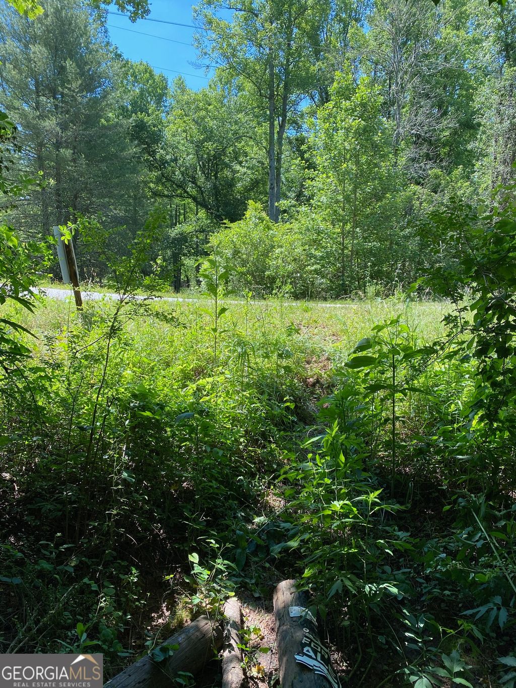 Photo of 0 Hardman Road, Sautee Nacoochee, GA 30571 (MLS # 10774550)