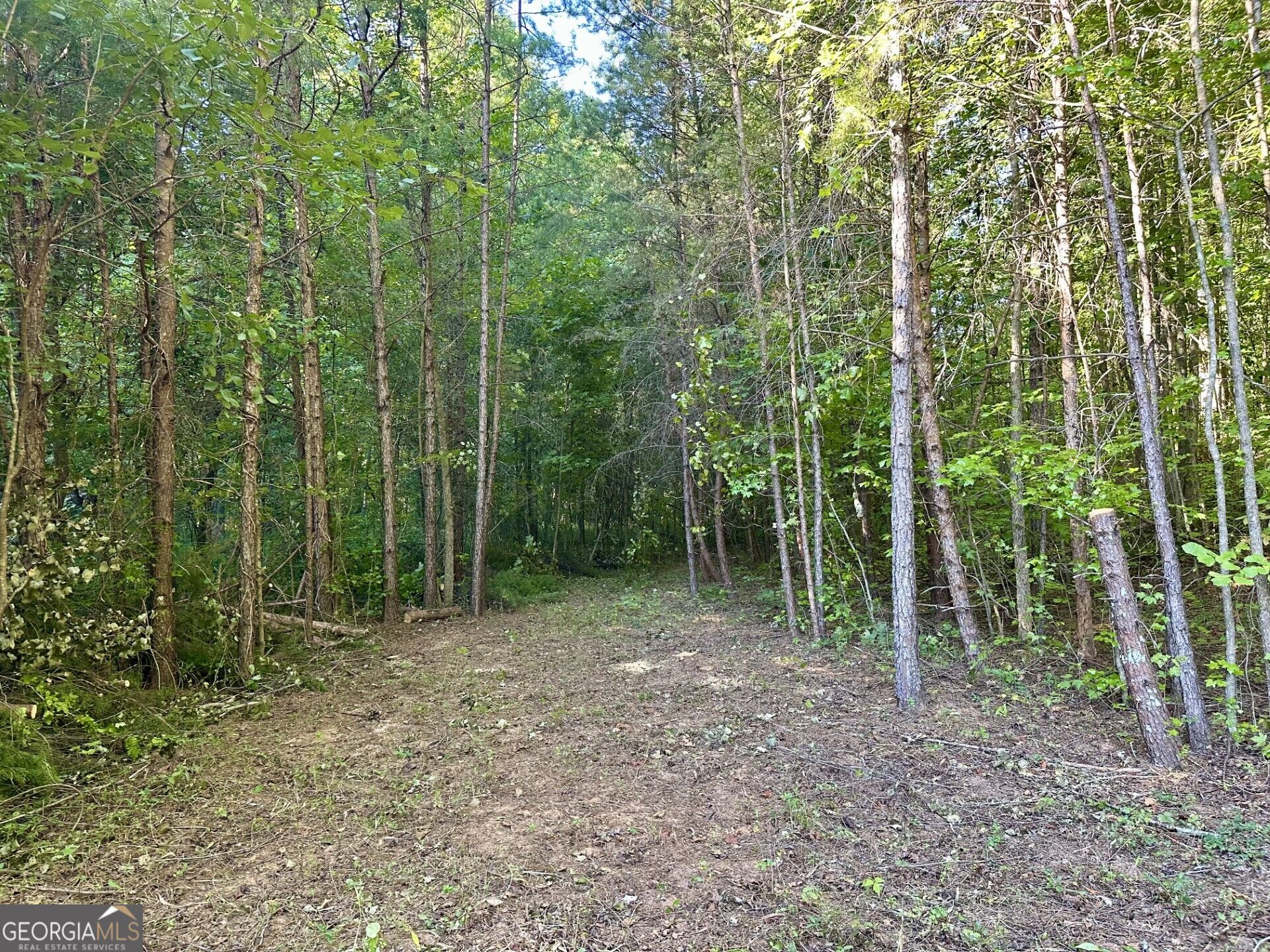 0 Piedmont Mountain RD
