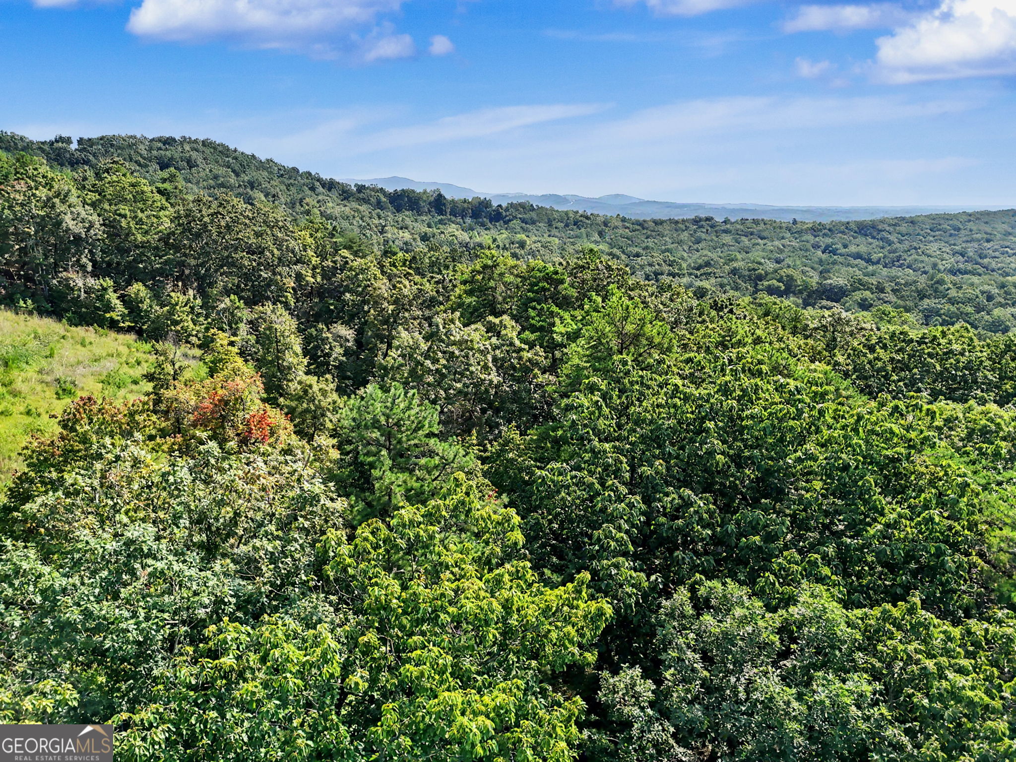 0 Piedmont Mountain RD